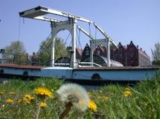 drawbridge bridge nature landscapes holland amsterdam cityscape objects architecture exteriors flower flowers dandelion dandelions
