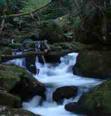 htoml waterfall stream river rocks forest