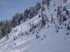 leon winter mountain snow cold frost pines 