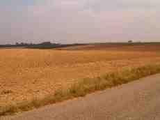 maartent acres landscape road farmland acre 