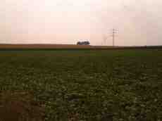 maartent field farmland farm electric wires electricity green nature energy
