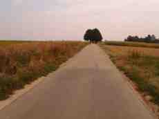 maartent country road field trees autumn
