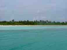 melvin tropical island paradise blue water palmtrees wam sunny