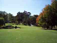 nauke golf court holes par grass sport golfer player green 