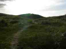 paul hills dune dunes bright sunshine hillock grass wind blowing
