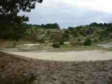 paul schoorl dunes forest holland sand 