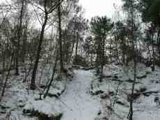 snow dunes coast holland paul cold winter