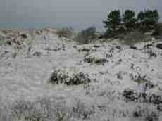 paul snow winter cold frost dunes 