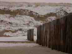 paul snow beach poles dune dunes