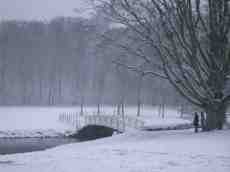 snow storm landscape winter cold