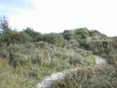 heath dune rolling pad winding