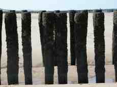 poles beams beach shore