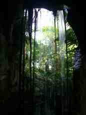 waterfall nature jungle cave forest plants green