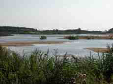 moors lagoon birds lake islands sand banks