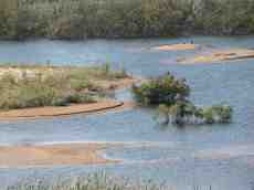 moor bog water islands green banks water pool