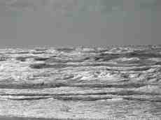 sea wave waves grey gray white