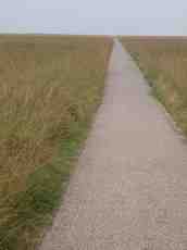 grassland asphalt path road
