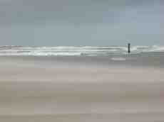 sand beach sea wave waves grey gray sand beach sea wave waves grey gray