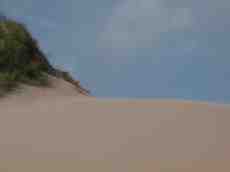 beach dunes sand coast