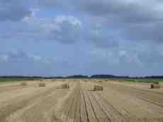 hay bale bales straw farmland field agriculture