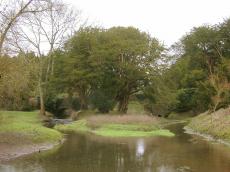park green stroling nature brook stream water bridge rivulet treees