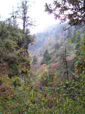 annet mountains cliff forest hills canyon 