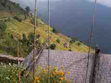 tropical landscape foggy fog moutains cliff field height forest annet