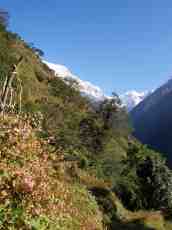 annet mountain side mountainside steeps warm high up bushes mountains range