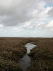 ditch meadow field water