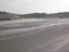 dune dunes beach landscape sand storm landscape