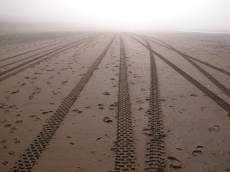 tracks in the sand beach mist