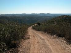 country road dry italy hill hills rolling green dusty path