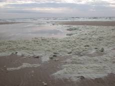 foam beach thick white foamy