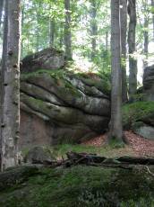 rocks rock formation endor trees forest forrest dense jungle slabs heavy stone stones