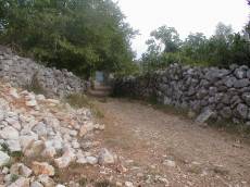 dario road alley rock rocks tree trees