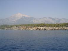 j_d island coast rocky beach mountains trees jungle