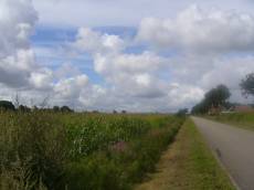 janny road netherland corn crops house clouds nature landscapes