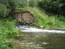 partyboy babbling brook water rivulet stream flowing