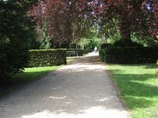 tabus park trees path 