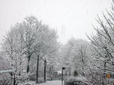 snow snowing winter street nature landscapes city cityscapes trees village