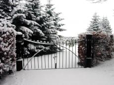 snow snowy winter gate graveyard entrance trees