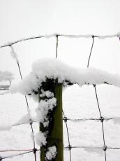 snow frost blanket winter white field pole fence wire frozen cold
