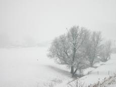  chill chilliness coldness congelation draft freeze frigidity frost frostbite frostiness frozenness gelidity gelidness glaciation shivering shivers snow wintertime wintriness white landscape tree