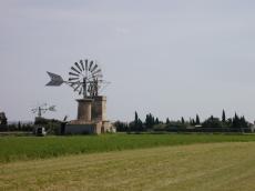 windmill field mill wings