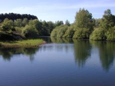 nature landscapes lake trees water reflection waterleidingduinen