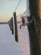 fence watertap tap landscape meadow winter snow nature landscapes barbwire