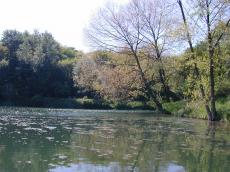 nature landscapes lake pool trees water
