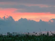 nature landscapes elements clouds sunset sunrise dusk dawn grass silhouette flowers pink purple