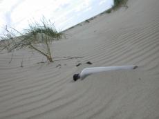 dunes bottle sand sea buried 