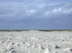 nature landscapes beachscapes dunescapes shell shells beach sand dunes sky